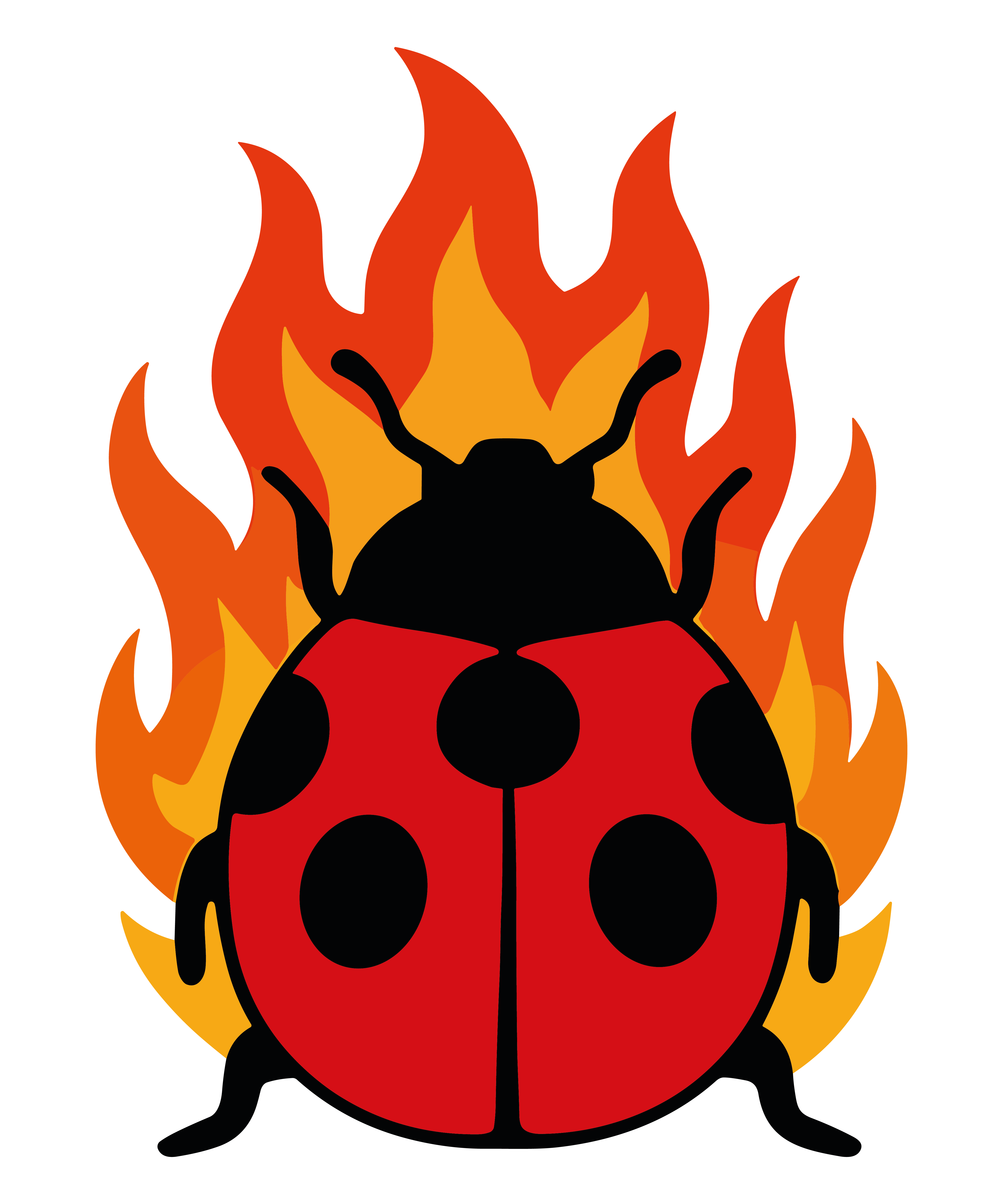 Flaming Ladybug